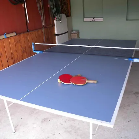 Dom wakacyjny In - Balaton 18867 *