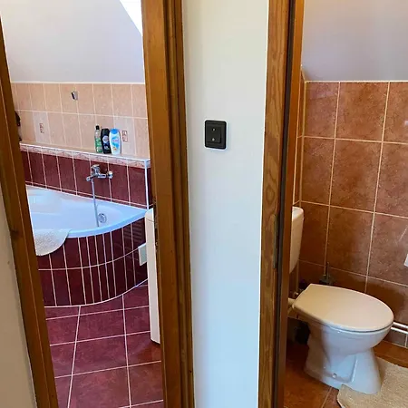 In - Balaton 18867 *